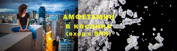 индика Бородино